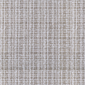 Dove Grey